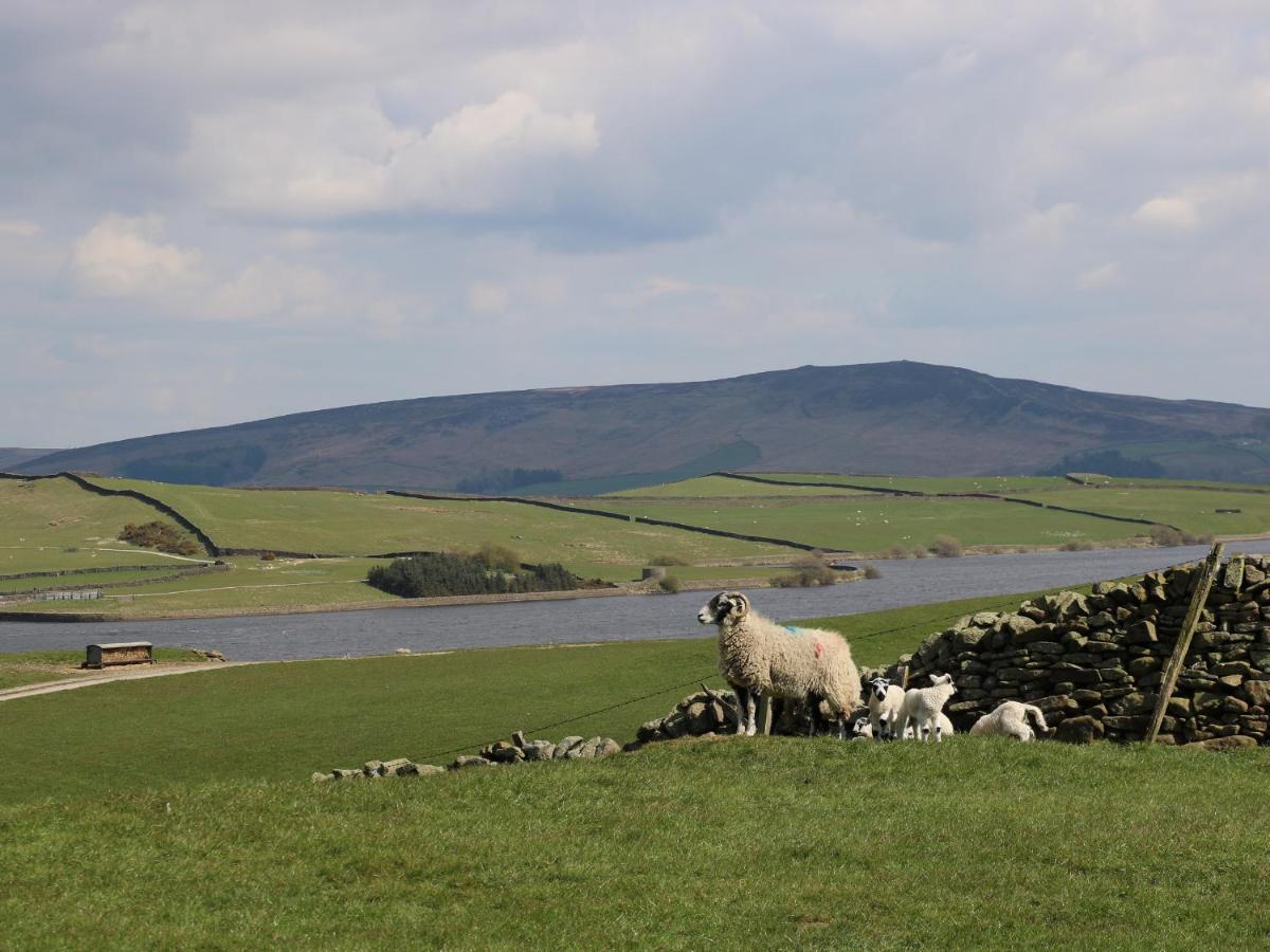 Crane Field Laithe Villa Airton Dış mekan fotoğraf